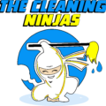 CleaningNinjasPNG