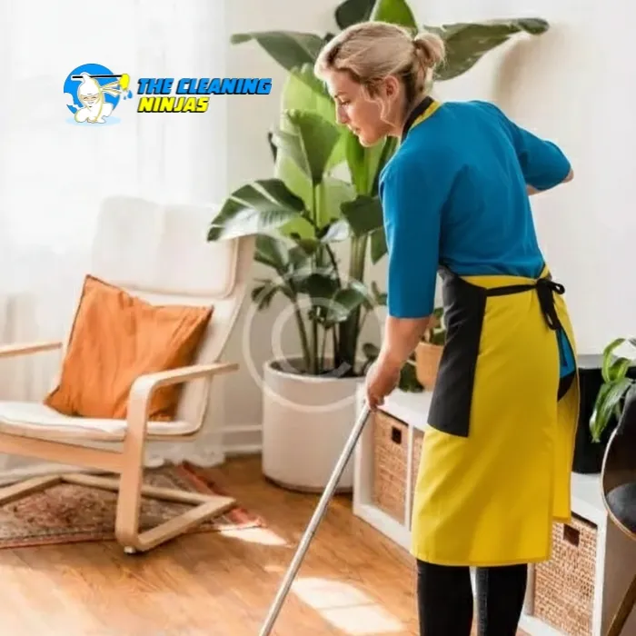 Cleaning Appointment