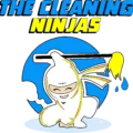 CleaningNinjasPNG
